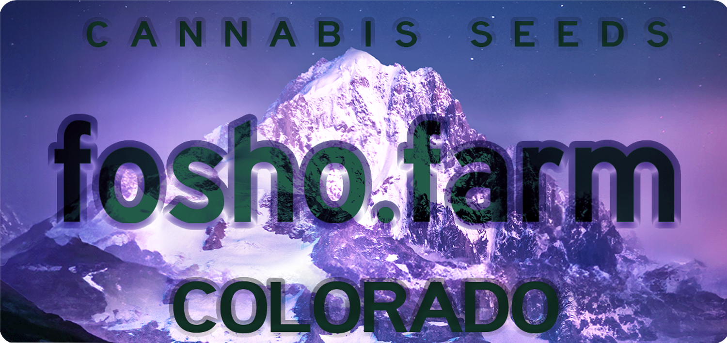 Colorado Cannabis Seed Bank